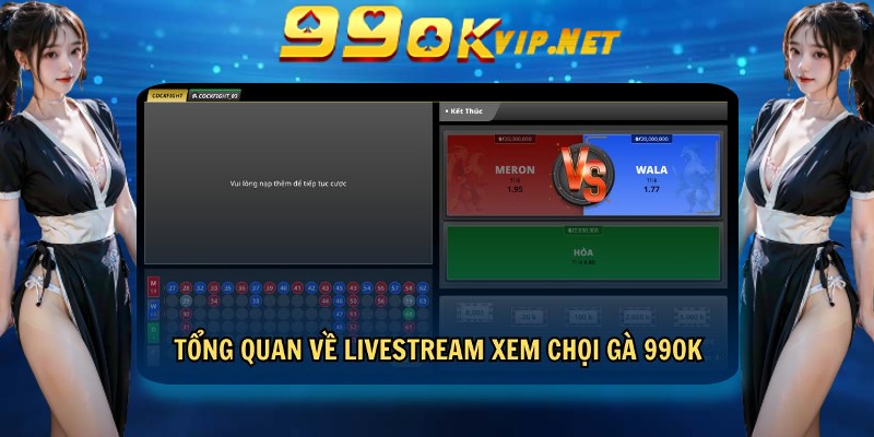 Tổng quan về livestream xem chọi gà tại 99OK Tổng quan về livestream xem chọi gà tại 99OK