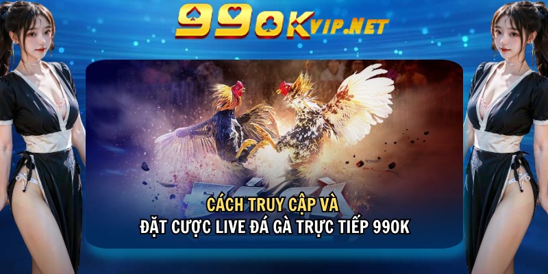 Cách truy cập và đặt cược live đá gà trực tiếp 99OK Cách truy cập và đặt cược live đá gà trực tiếp 99OK